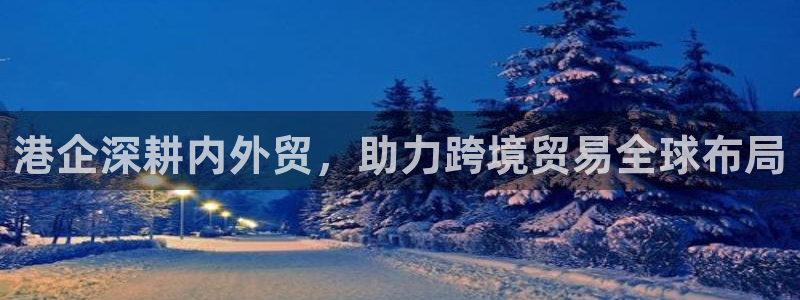 旺财28官网平台：港企深耕内外贸，助