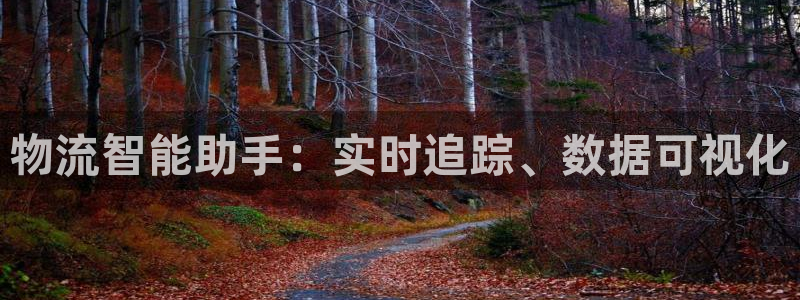旺财28加拿大