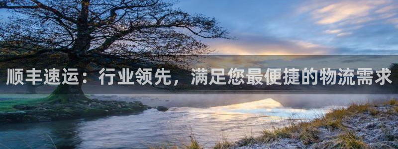 旺财28农业银行是狗卡吗：顺丰速运：行业领先，满足您最便捷的