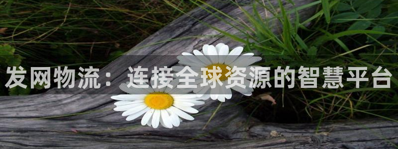 旺财28的自行车：发网物流：连接全球