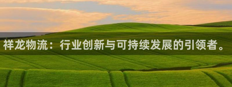 旺财28流水怎么算：祥龙物流：行业创