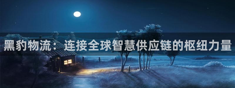 旺财28充值：黑豹物流：连接全球智慧