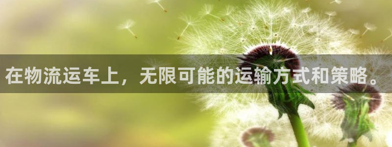 旺财28加拿大6.0：在物流运车上，