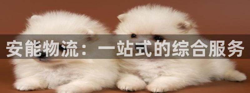旺财28官网下载链接是什么网站：安能
