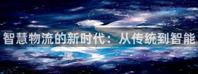 旺财28和南宫28什么关系：智慧物流