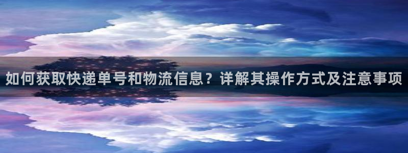 旺财28官方网站预测：如何获取快递单