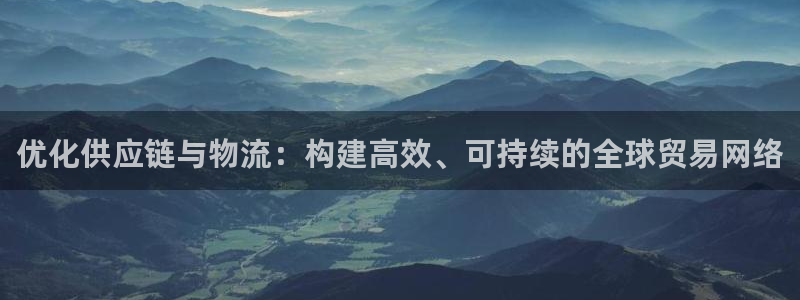 旺财28p图上分下款通道：优化供应链