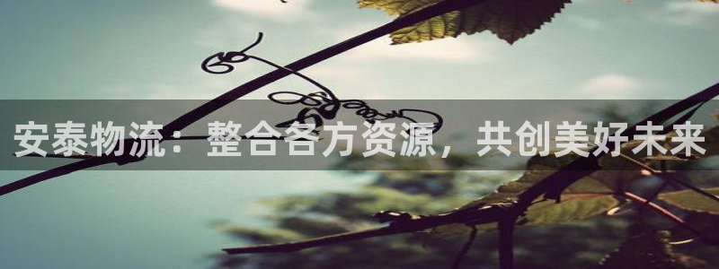旺财28可靠吗：安泰物流：整合各方资