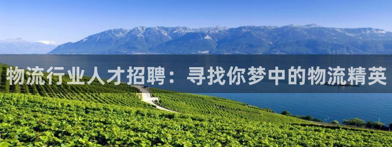 旺财28充值方式：物流行业人才招聘：