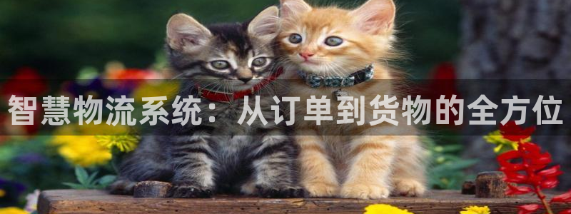 旺财28官网入口pc正版：智慧物流系