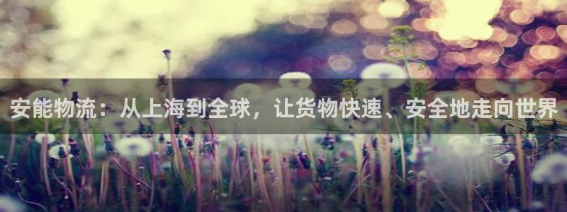 旺财28选28ng官网：安能物流：从