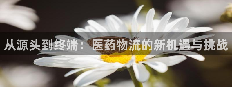 旺财28二维码：从源头到终端：医药物