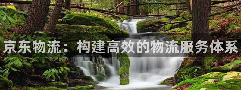 旺财28注册地址：京东物流：构建高效