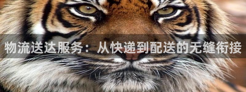 旺财28充值金额随便：物流送达服务：从快递到配送的无缝衔接