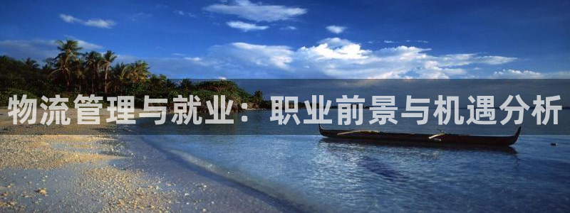 旺财28模拟：物流管理与就业：职业前